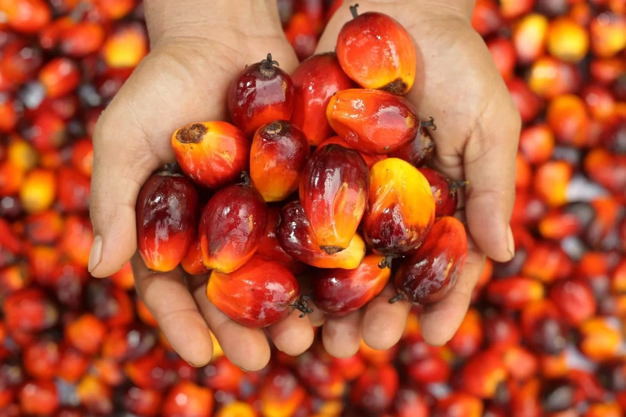 Kualitas Terjaga, Standar Terpenuhi