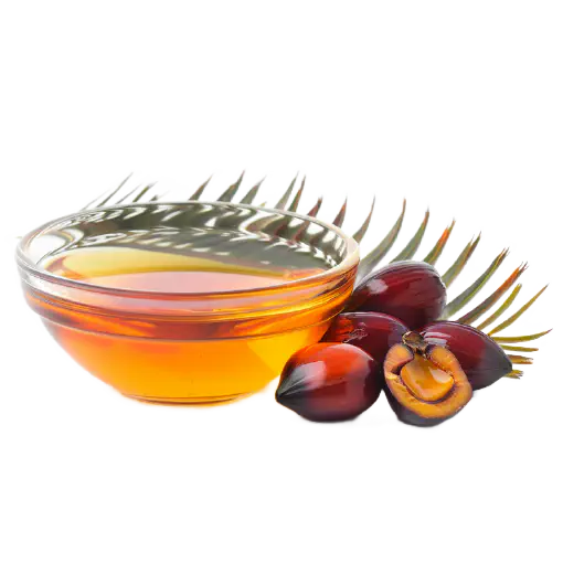 Palm Kernel Oil (PKO)
