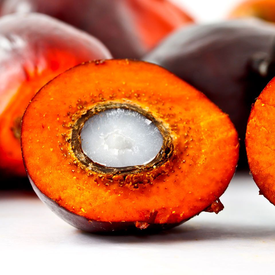Palm Kernel (PK)