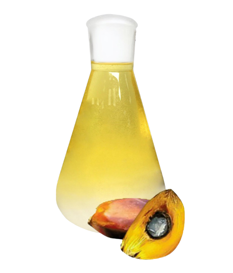 RBD Palm Oil
